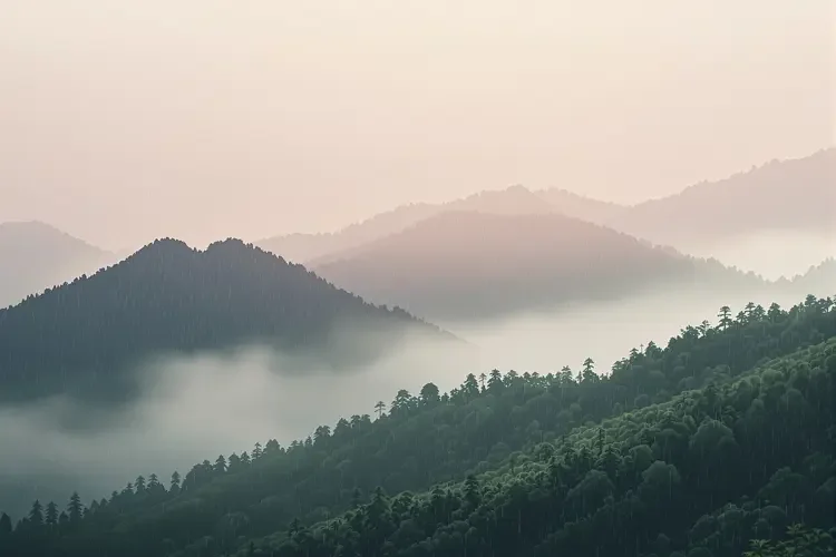 雨润山青 - bt电影天堂专题合集